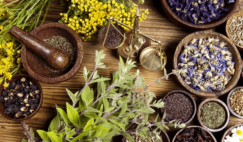 Treatment of parasites with home remedies.