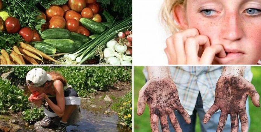 Forms of infection