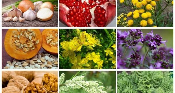 Popular treatment methods for worms
