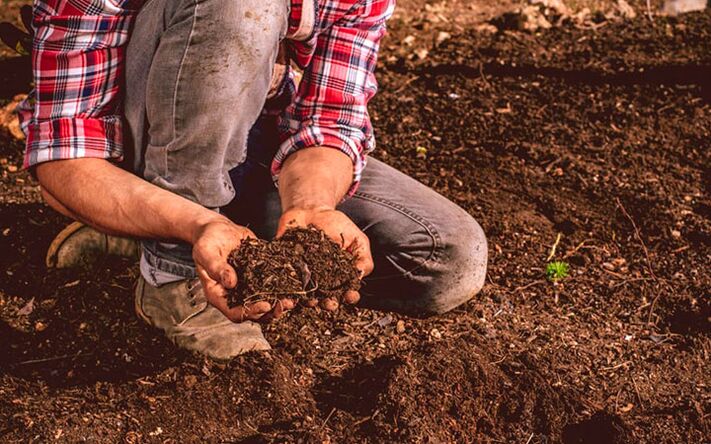 Parasites infection through the ground