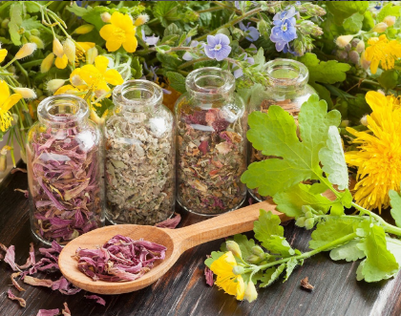 Antiparasitic herbs to get rid of worms.