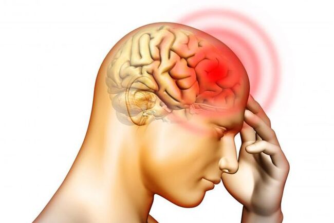 Headache may be a symptom of the presence of roundworm larvae in the middle ear.