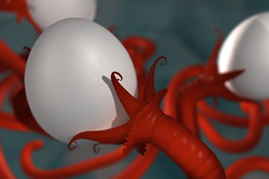 parasitic worm of humans