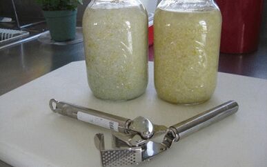 garlic tincture to eliminate parasites from the body
